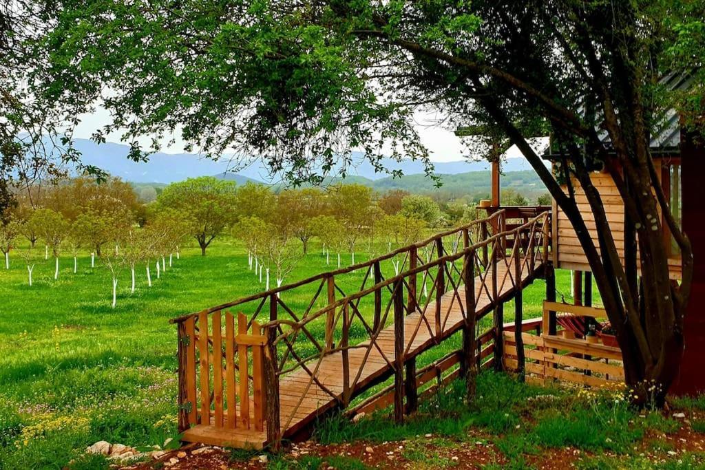 The Treevilla Янина Экстерьер фото
