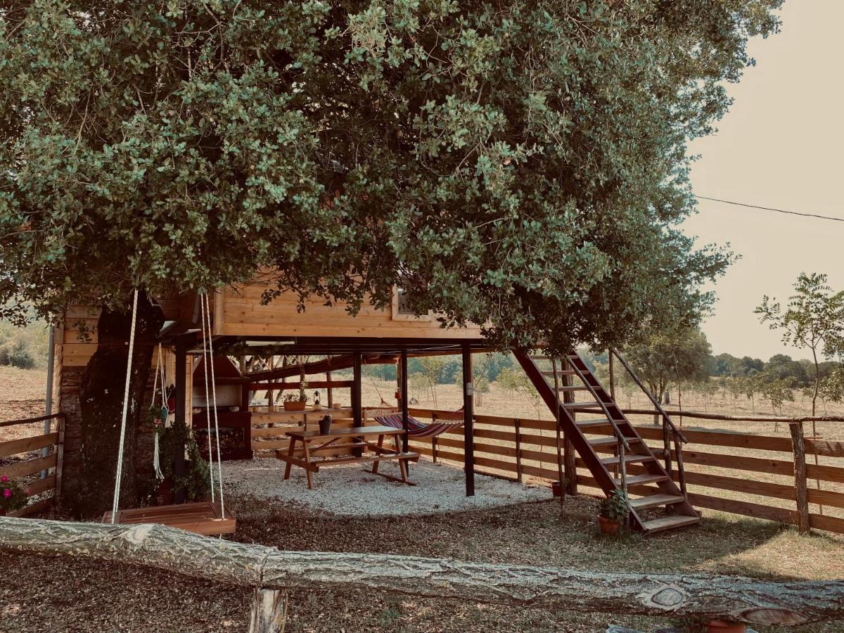 The Treevilla Янина Экстерьер фото